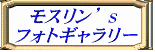 ���X�����f���@�t�H�g�M�������[