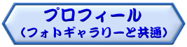 �v���t�B�[��